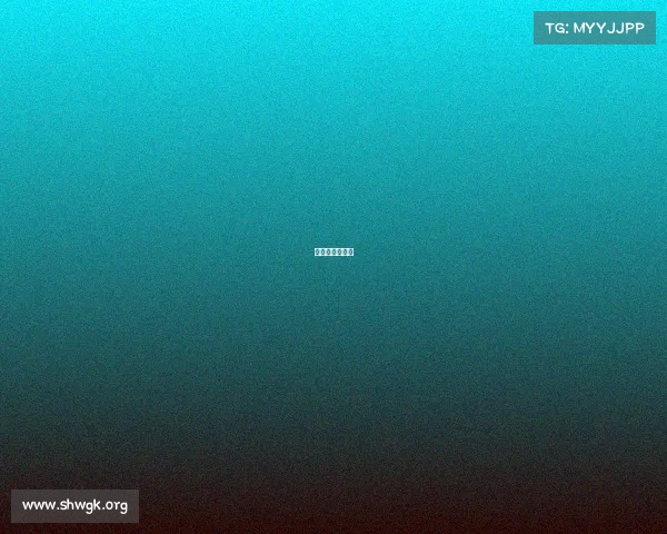 赛事标准化体系